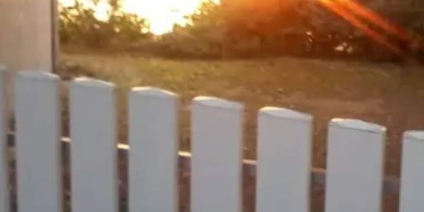 LETTRES  A GUENDUNE RINPOCHE et Réflexions sur TARA BLANCHE  Première dédicace